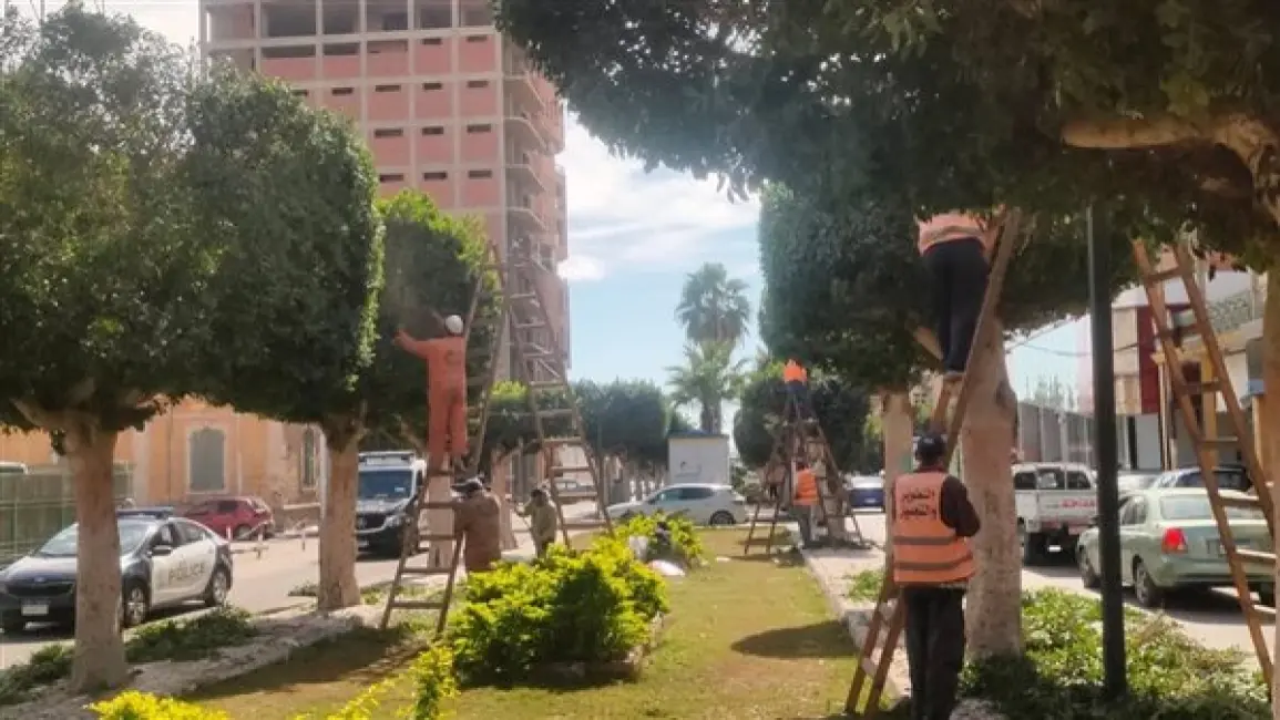 الإسماعيلية: تطوير المسطحات الخضراء لتعزيز الجمال الحضري