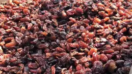 تجار يبيعون الزبيب المصري في سوق