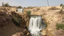 إطلاق زريعة في بحيرة وادي الريان
