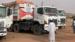 قرقاش يتحدث عن دعم الإمارات للسودان