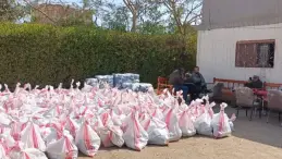 توزيع كرتونات غذائية في محافظة المنوفية