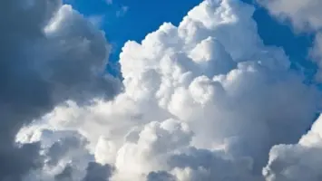 ضباب يغطي المناطق الساحلية ليلاً