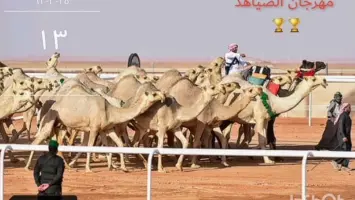 مهرجان خادم الحرمين للهجن