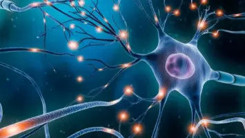 خلايا دماغية محمية بإشارات من السرطان