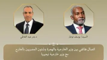 وزراء خارجية مصر ونيجيريا خلال اجتماع افتراضي