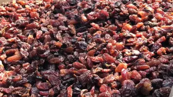 تجار يبيعون الزبيب المصري في سوق