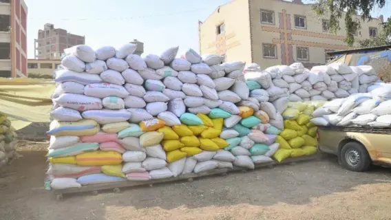 أرز شعير في السوق المصري