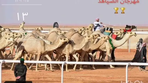 مهرجان خادم الحرمين للهجن