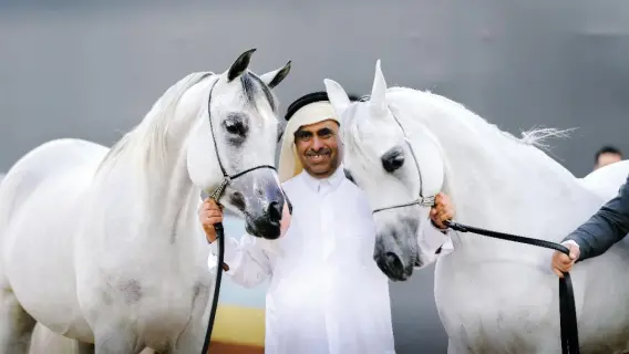 المهرجان يحمل إرثاً عريقاً واسماً خالداً ارتبط بدعم الخيل العربية الأصيلة