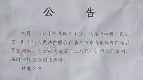 Chinese execution news report