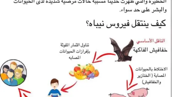 انتشار فيروس نيباه