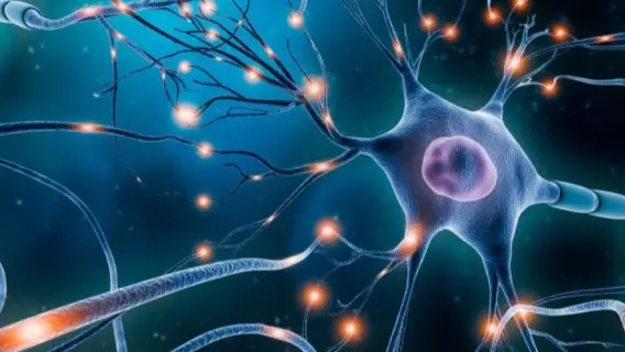 خلايا دماغية محمية بإشارات من السرطان