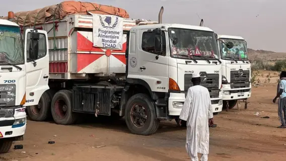 قرقاش يتحدث عن دعم الإمارات للسودان