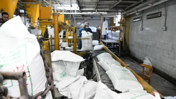 مصنع سكر مصري يعكس استقرار السوق قبيل رمضان