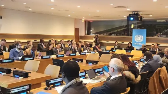 الشيخة علياء أحمد بن سيف آل ثاني تتحدث في اجتماع بالأمم المتحدة