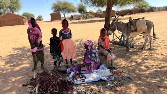 أزمة مجاعة وسوء تغذية حاد في إقليم دارفور بالسودان