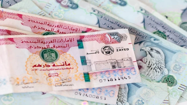 الدرهم الإماراتي