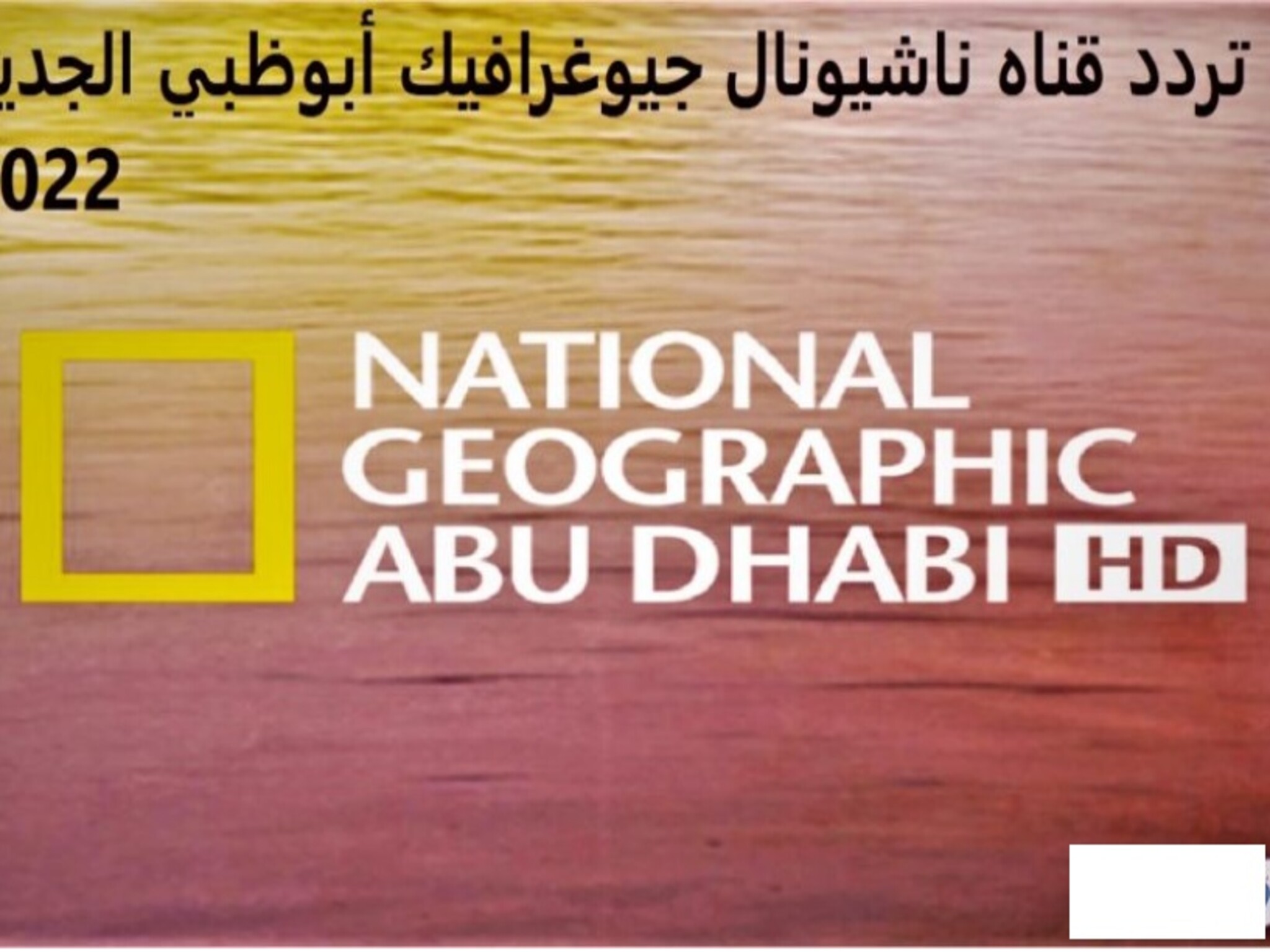 تردد قناة Nat Geo Abu Dhabi الجديد تردد قناة ناشيونال جيوغرافيك 2023 تنزيل ناشونال جوغرافيك أبوظبي
