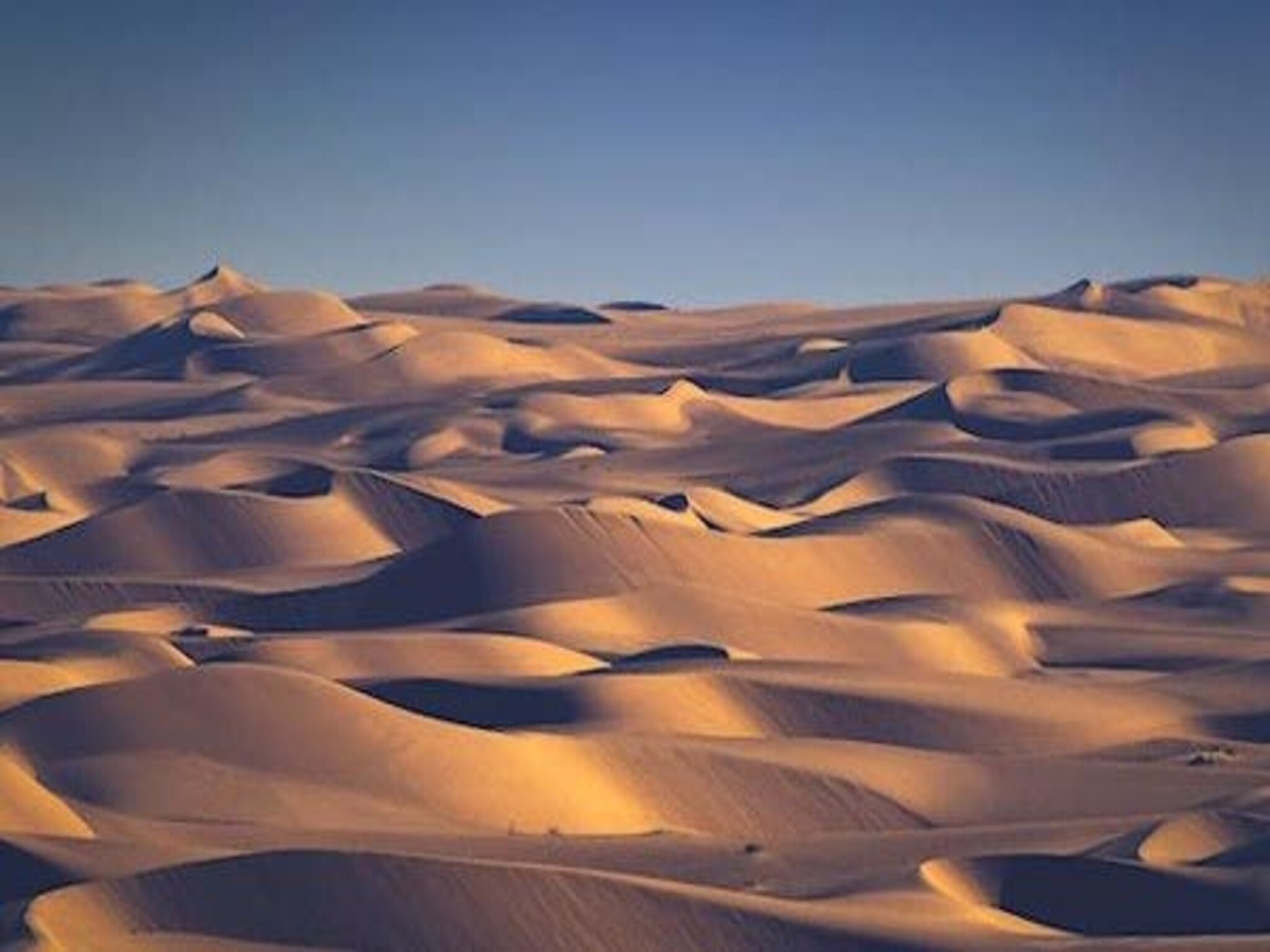 Saudi Arabia's Empty Quarter attracts daring adventurers