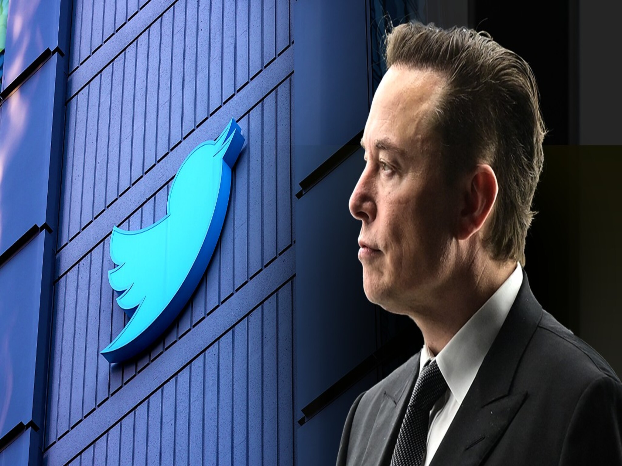 Twitter owner buys Lasky platform