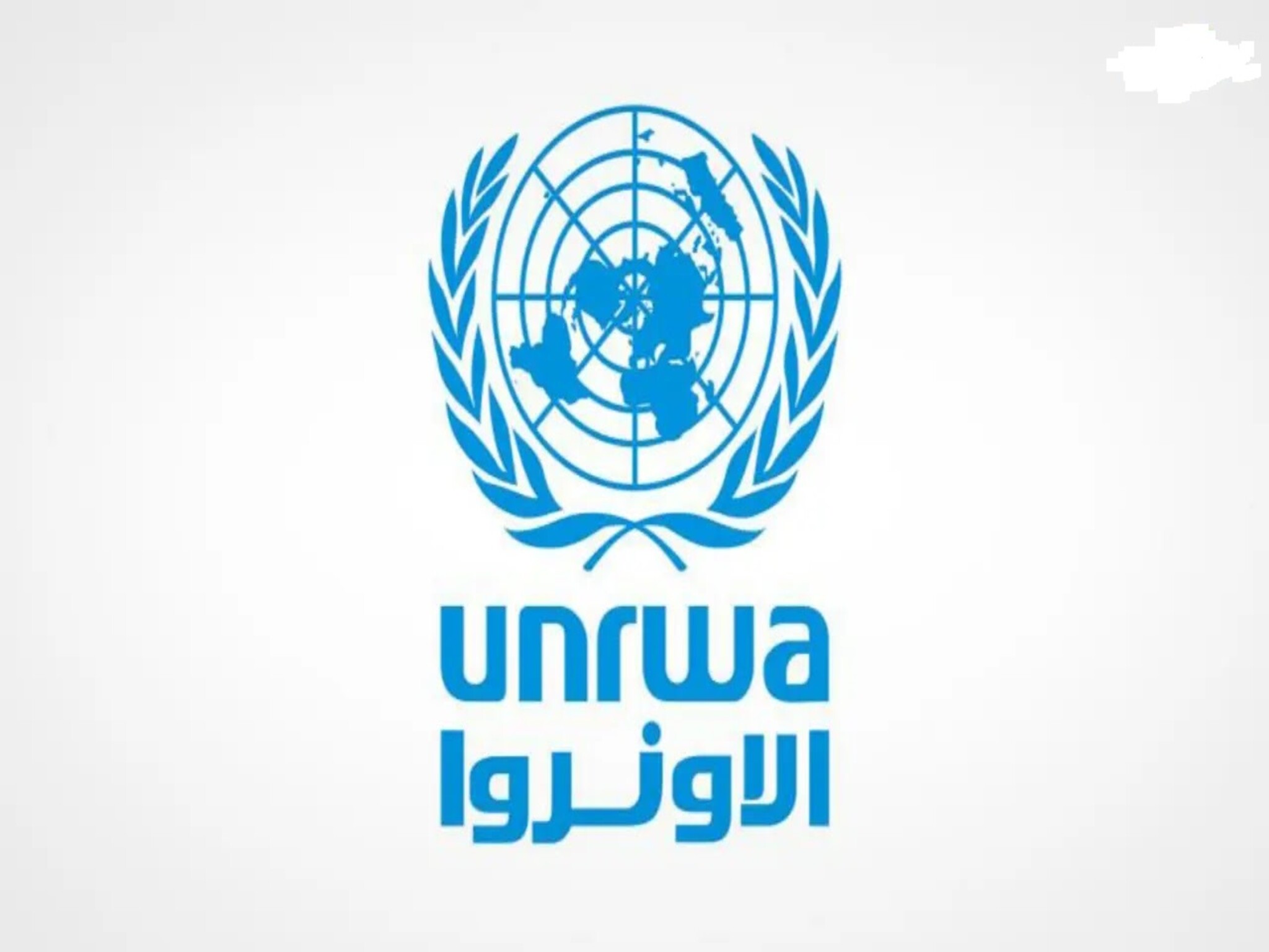 رابط فحص الطحين في غزة 2024/2023 التابع للأونروا 