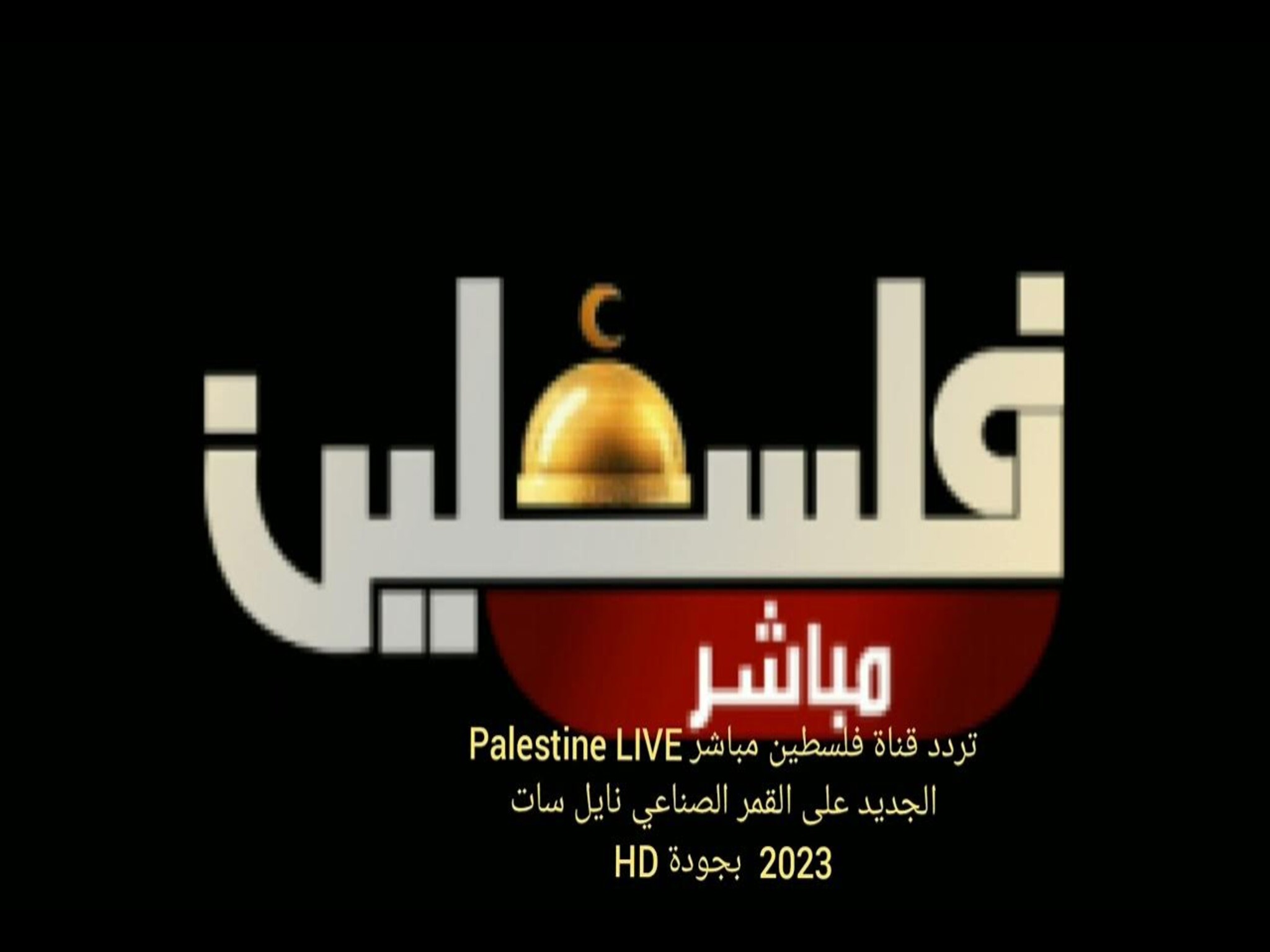 تردد قناة فلسطين مباشر Palestine LIVE الجديد 2023 علي الأقمار الصناعية 