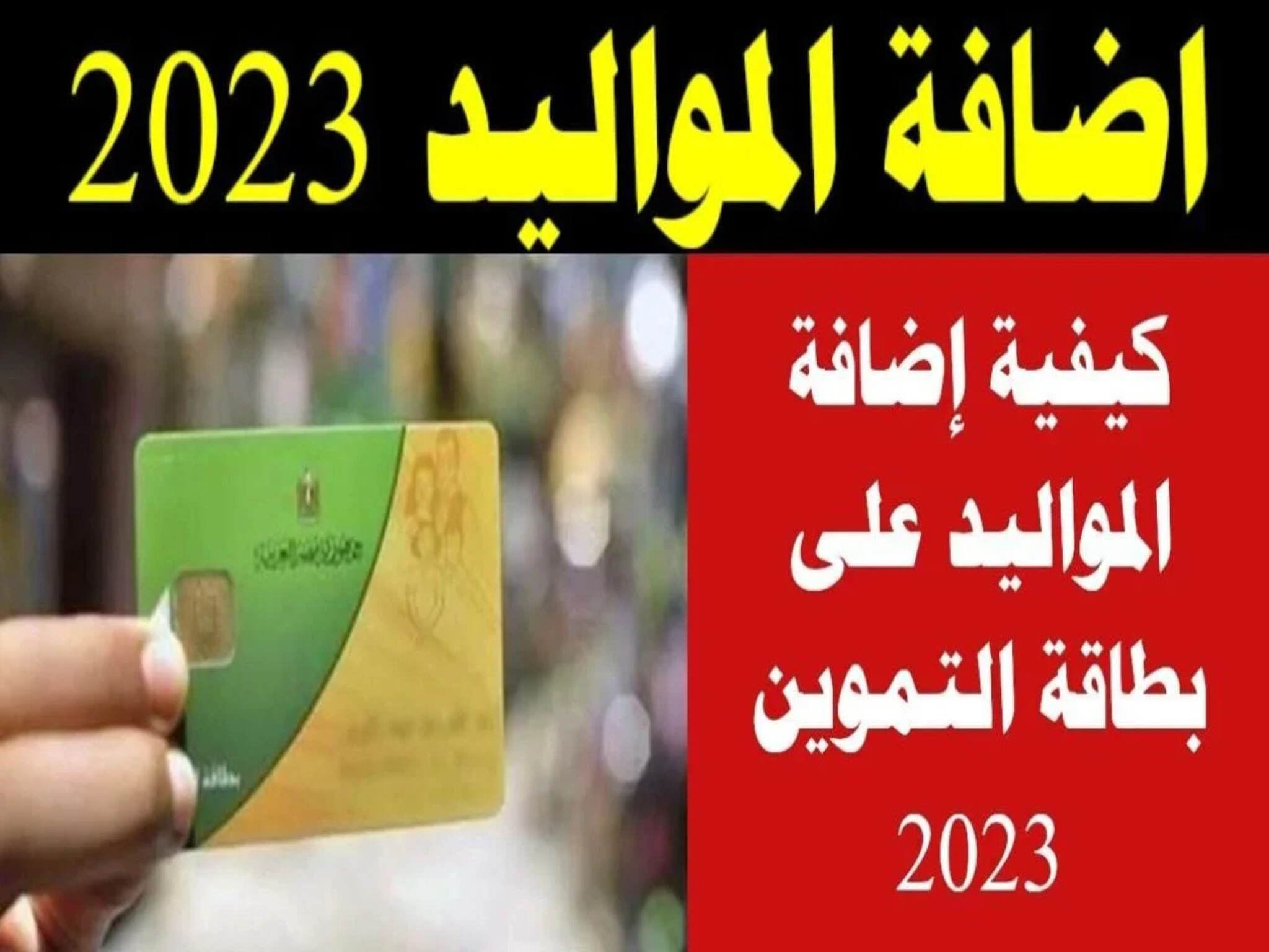 طريقة إضافة المواليد على بطاقة التموين 2023 عبر بوابة مصر الرقمية