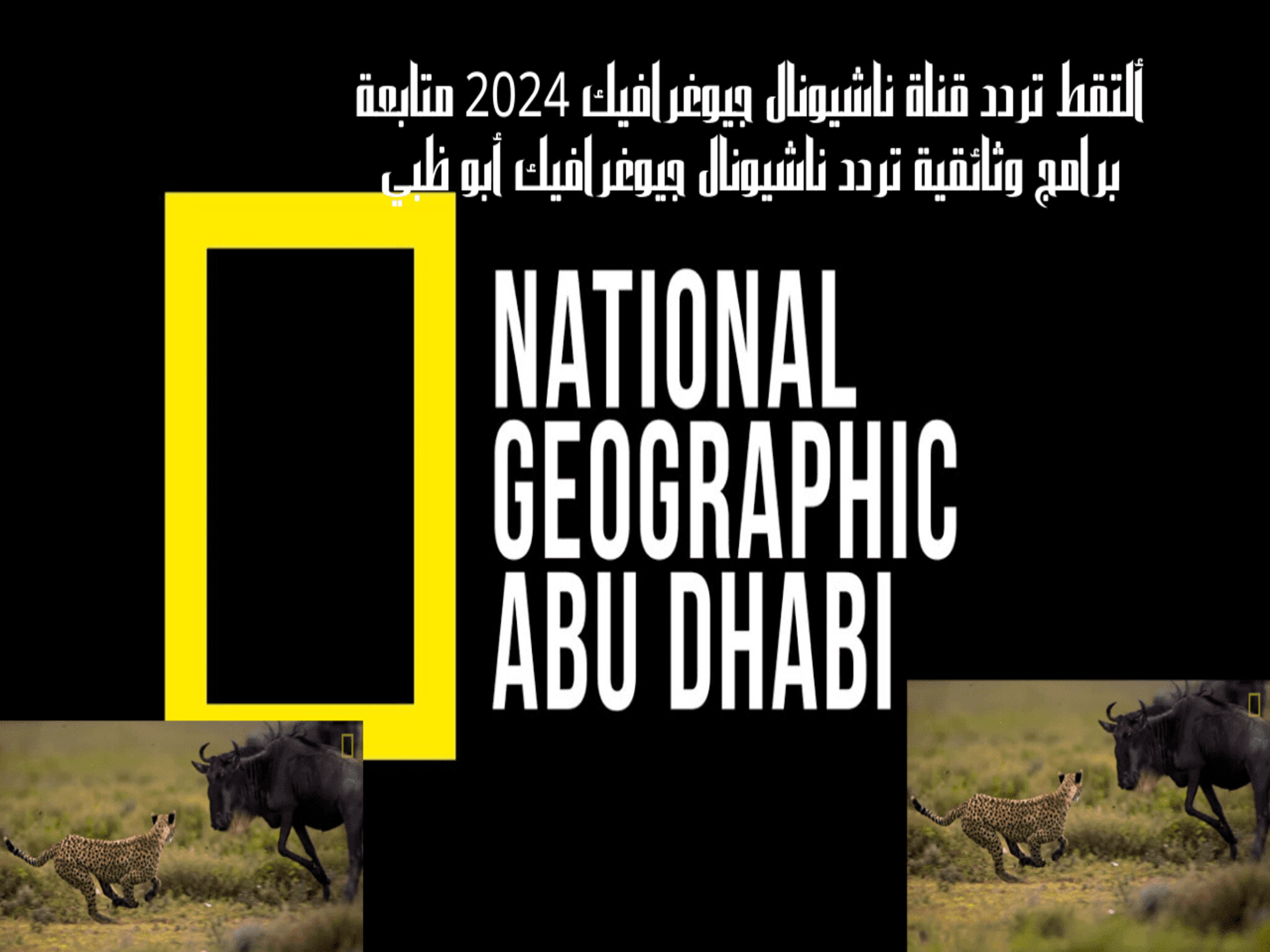 استقبل تردد قناة ناشيونال جيوغرافيك ابوظبي 2024 الجديد National Geographic