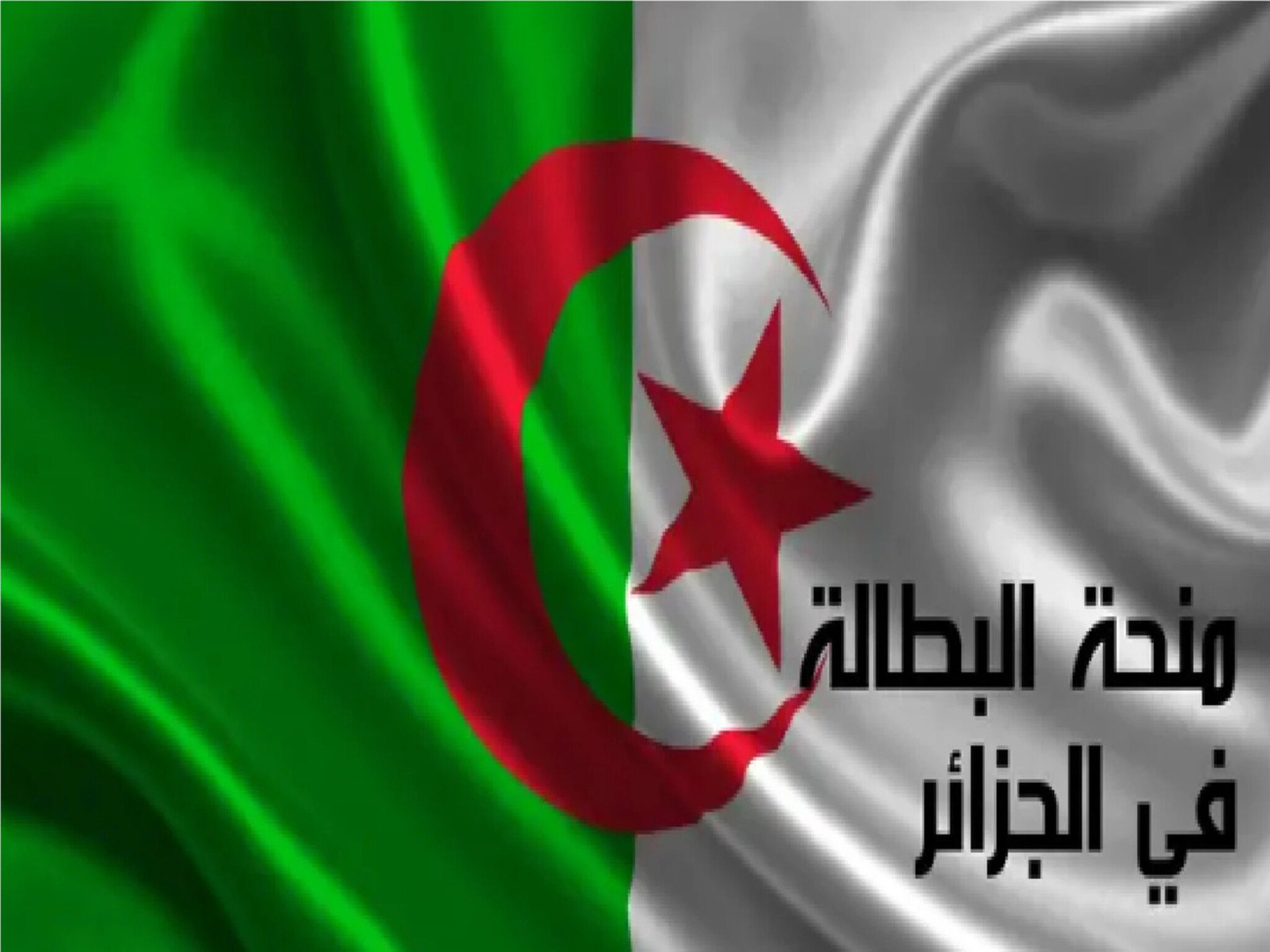 منحة البطالة في الجزائر 2024 وحقيقة زيادة 20000 دينار.. التفاصيل كاملة