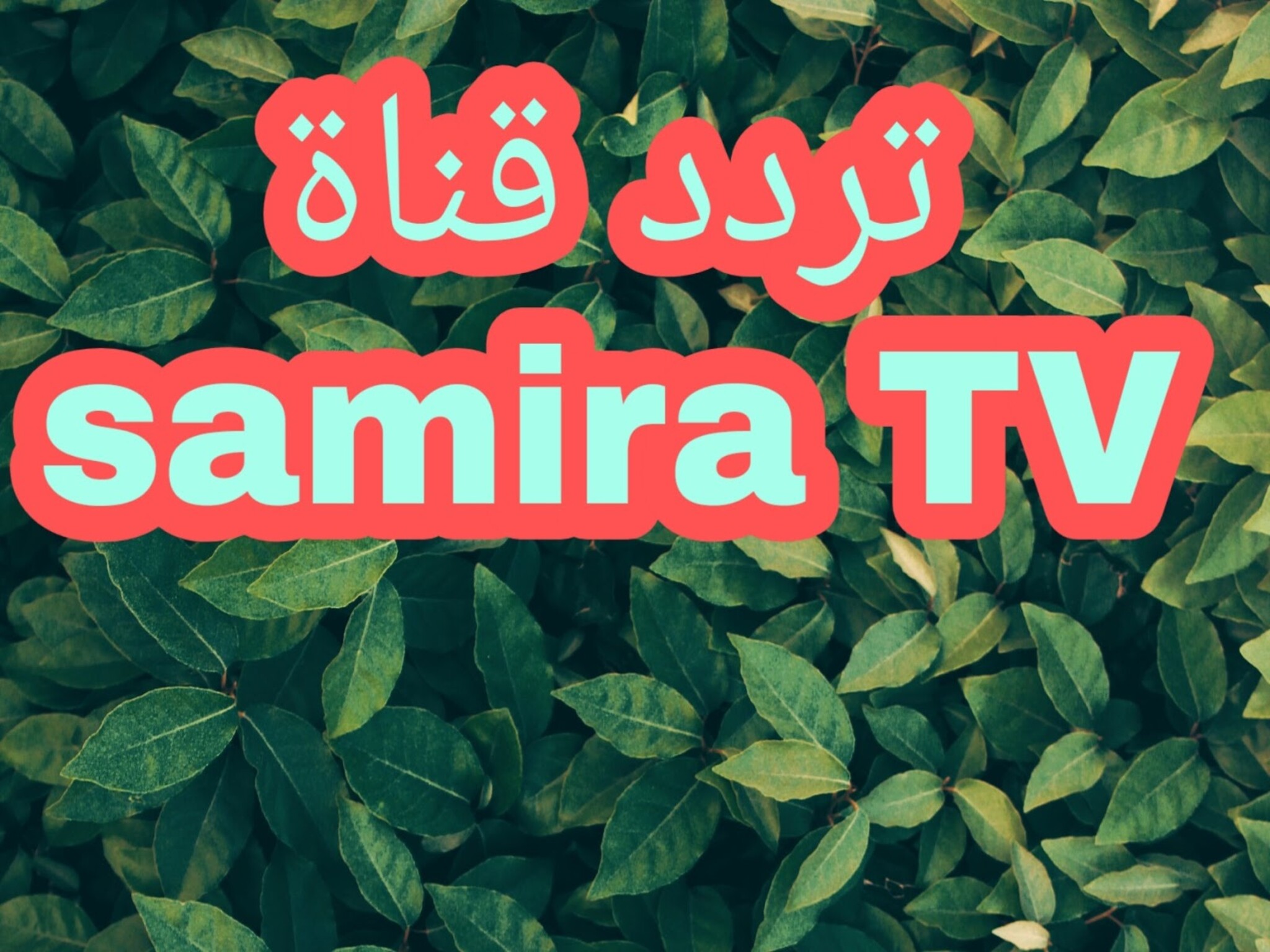 تردد قناة سميرة الجديد 2024 Samira tv للطبخ والحلويات على الأقمار الصناعية