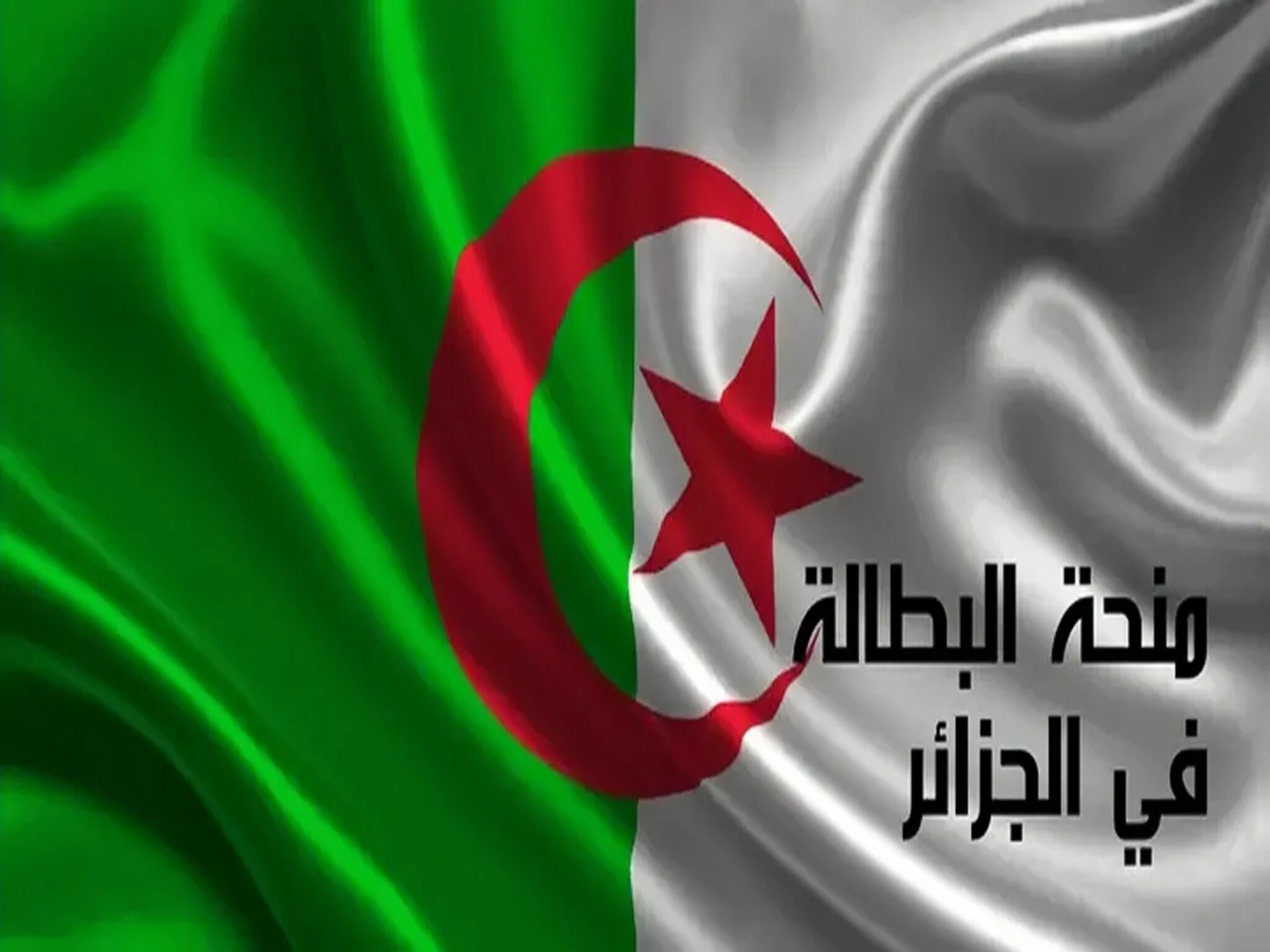 شروط تجديد منحة البطالة الجزائرية 2024 من الوكالة الوطنية للتشغيل
