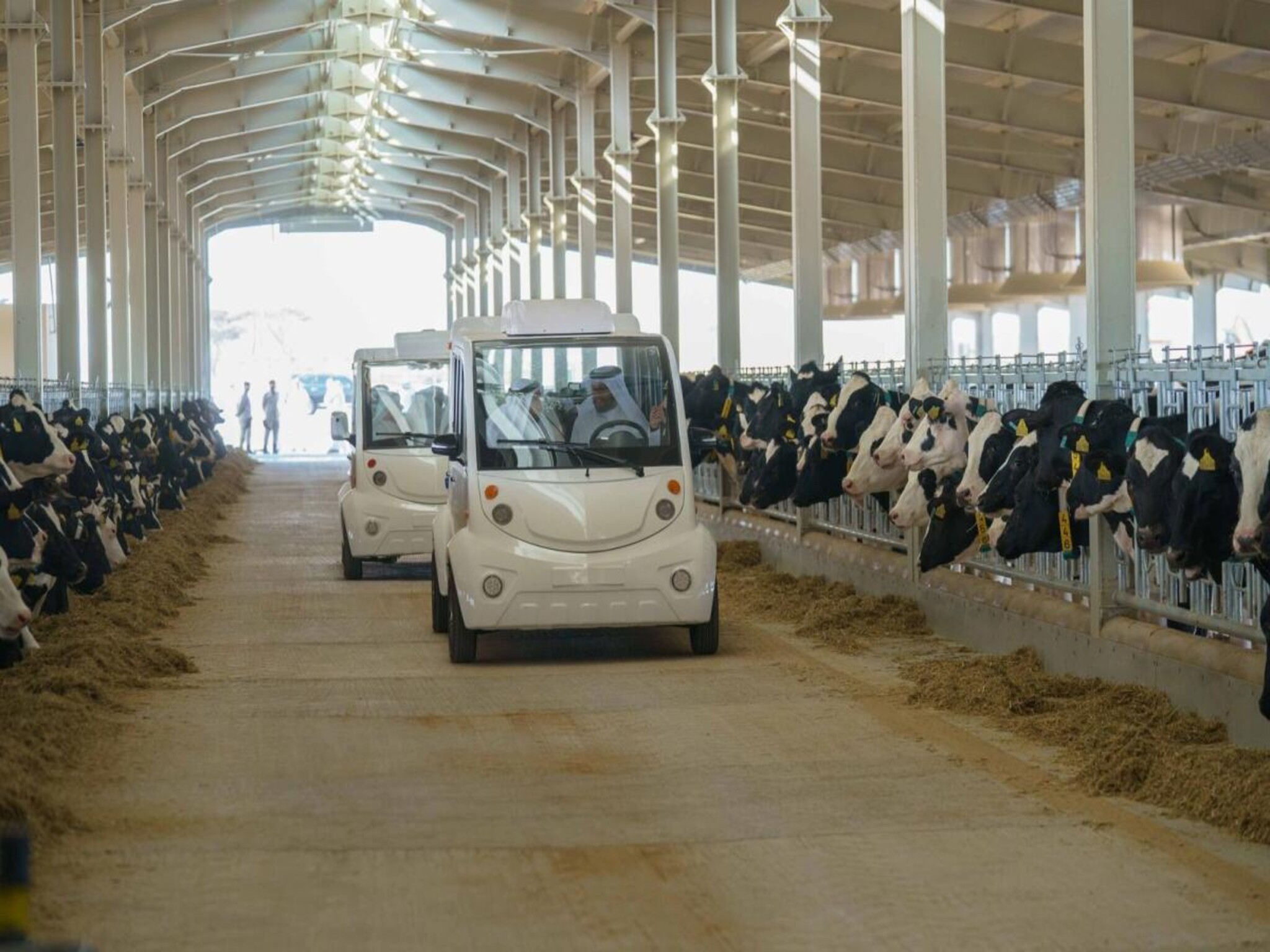 UAE launches first phase of Mleiha dairy farm in Sharjah