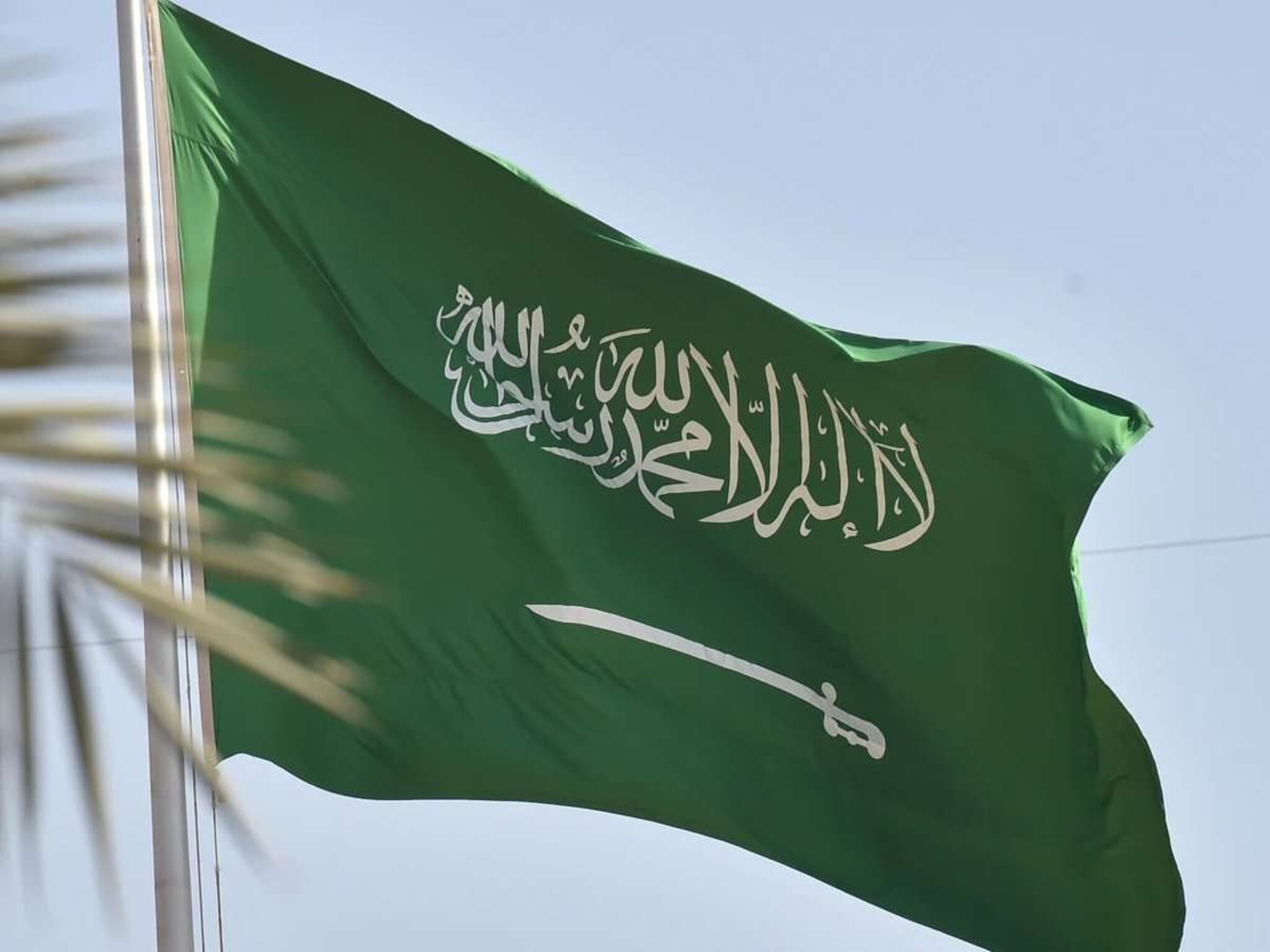 مجلس الوزراء السعودي يوضح تفاصيل منح الجنسيات في المملكة للمواليد (2024 ــ 1445)