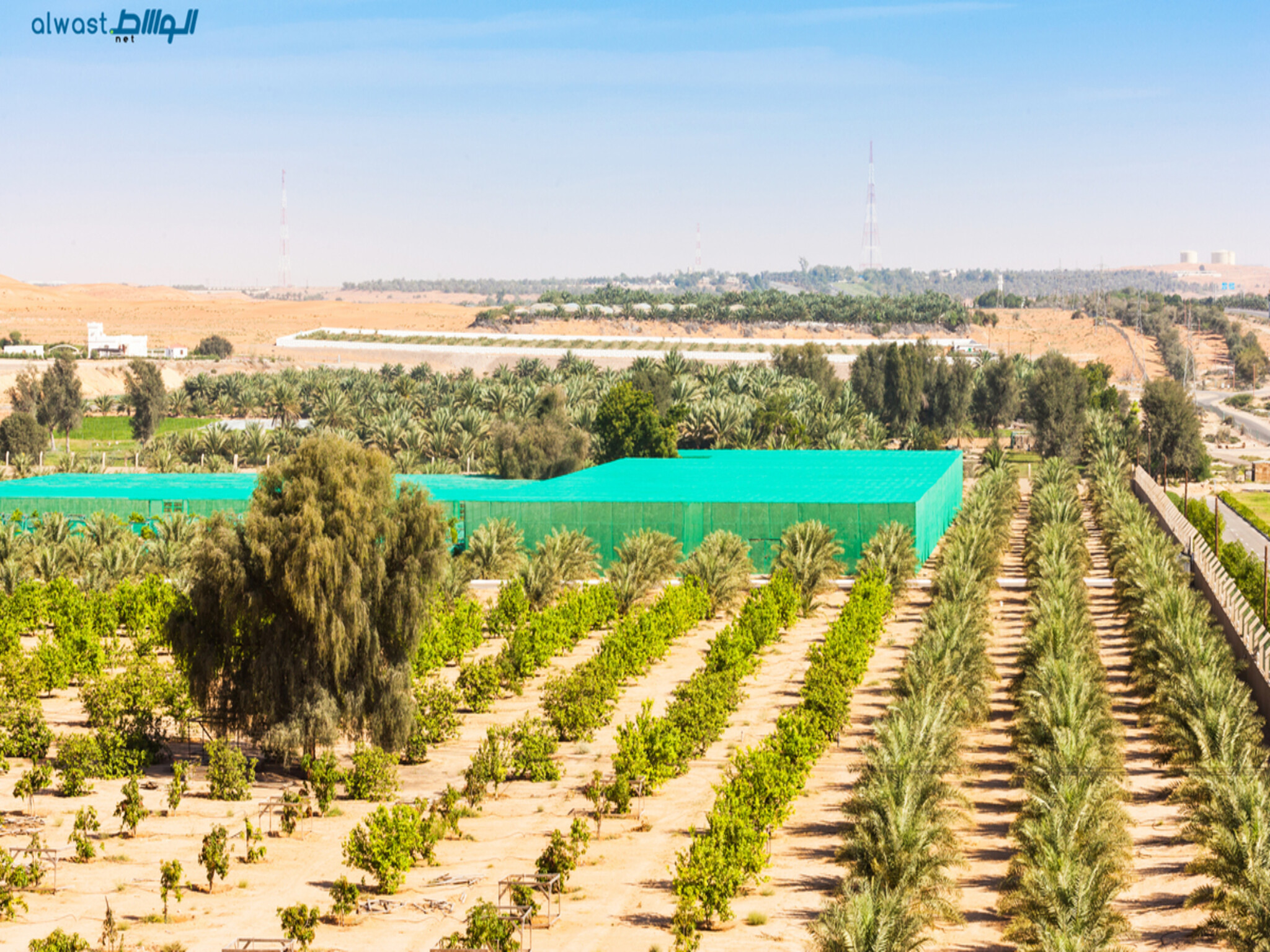Abu Dhabi Government announces new rules for small-scale farms 