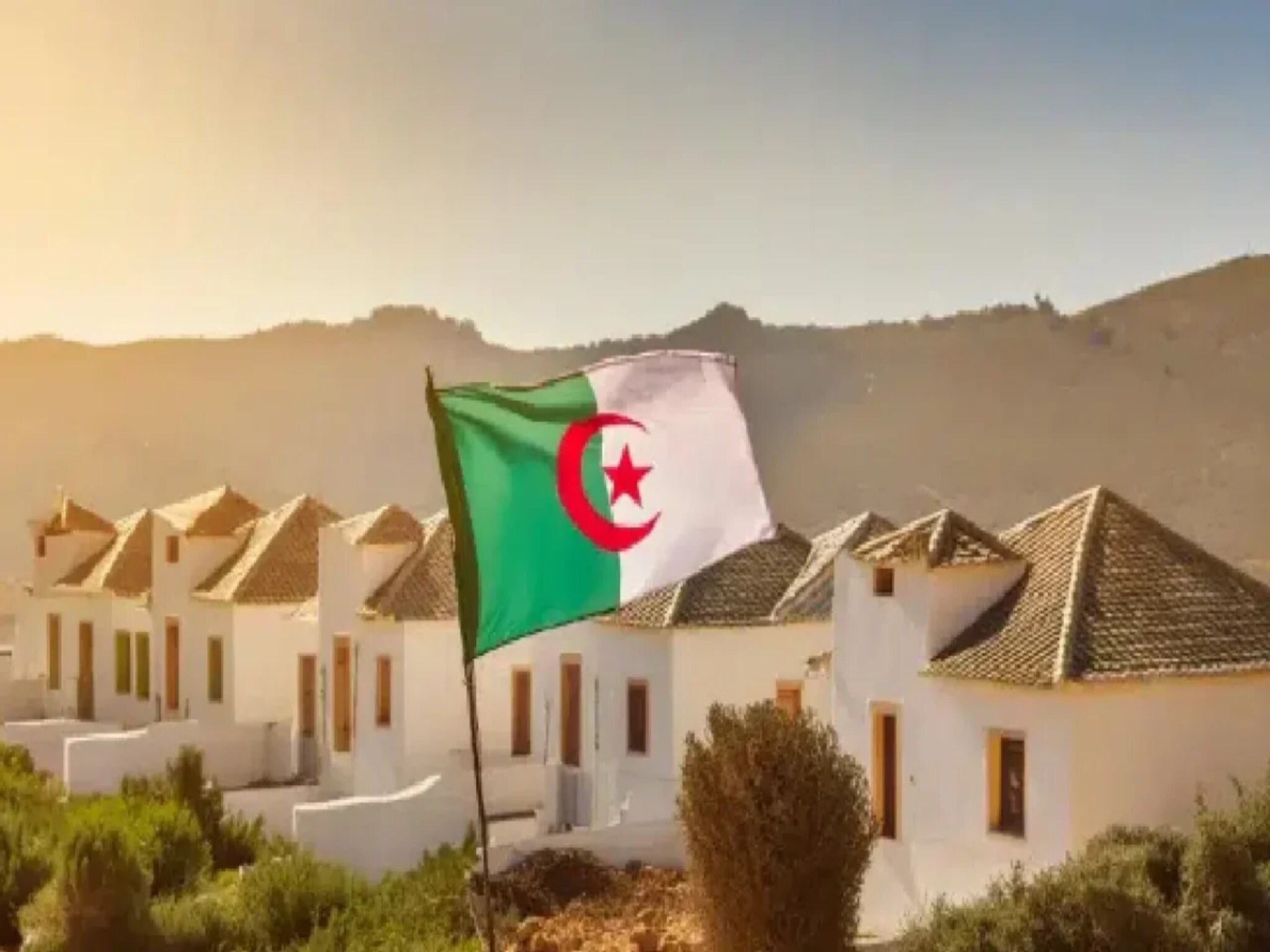 كيفية التقديم علي برنامج السكن الترقوي الحر بالجزائر 2024 وأهم الشروط 
