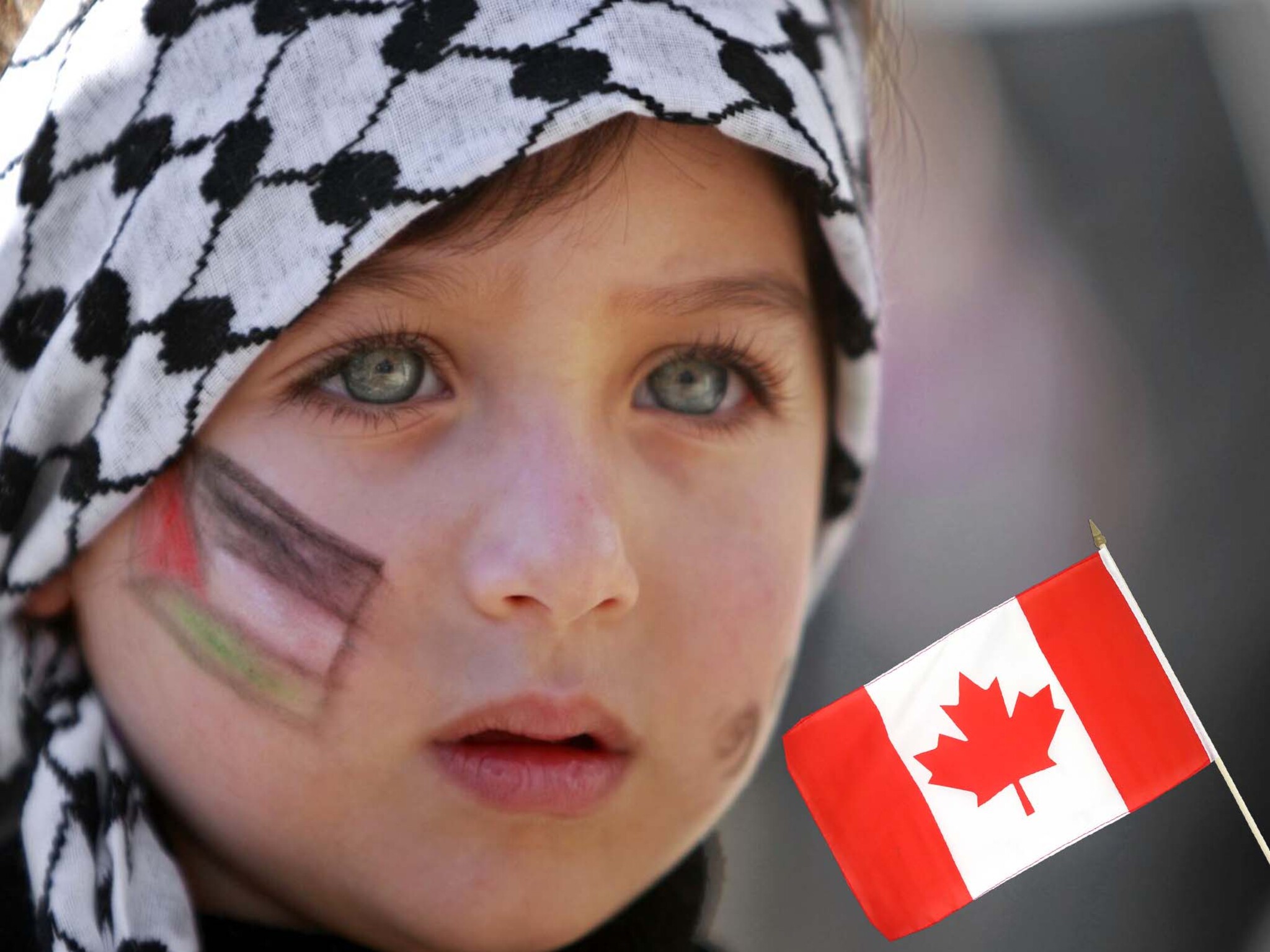 Canada announces the granting of 5,000 new residency visas to Palestinians