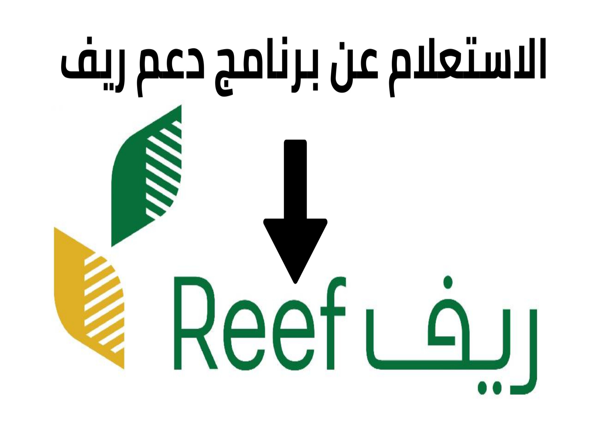 برنامج دعم ريف | الكشف عن 4 منتجات يشملها الدعم في منطقة مكة المكرمة 1445هـ