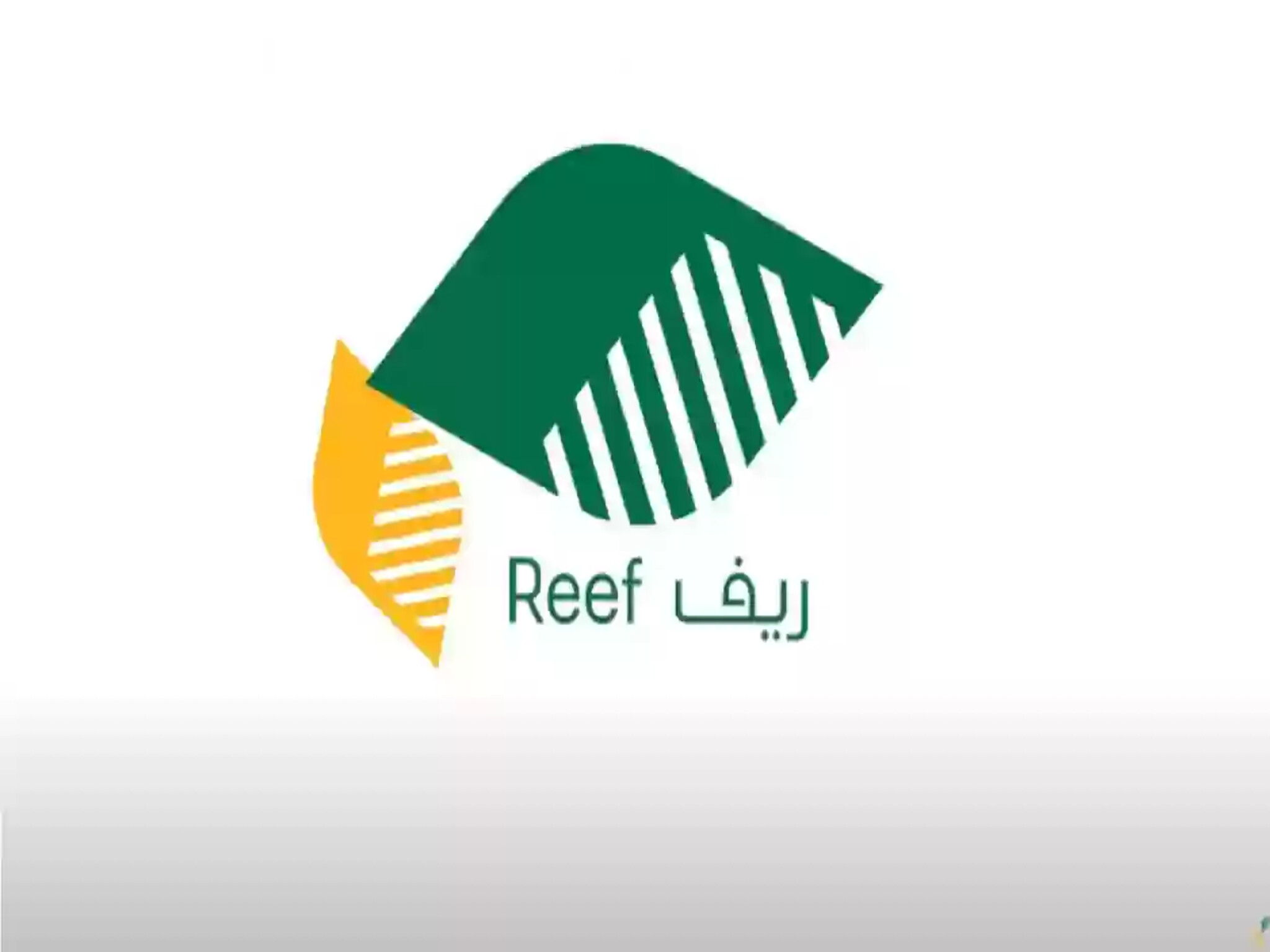برنامج ريف السعودية يدعم قطاع الأسماك بـ 86 مليون ريال سعودي