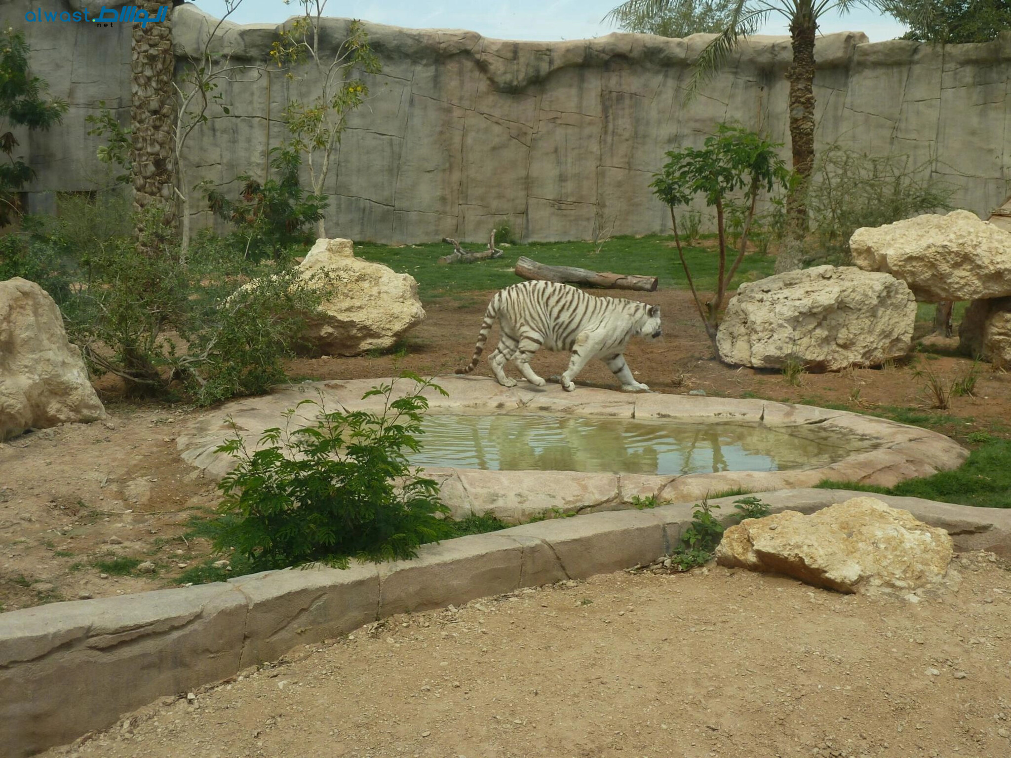 UAE: Al Ain Zoo to Temporarily Close for the Summer Season Due to Extreme Heat